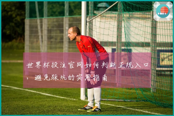 世界杯投注官网如何判断正规入口，避免踩坑的实用指南