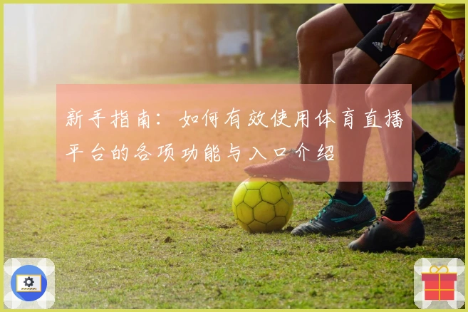 新手指南：如何有效使用体育直播平台的各项功能与入口介绍