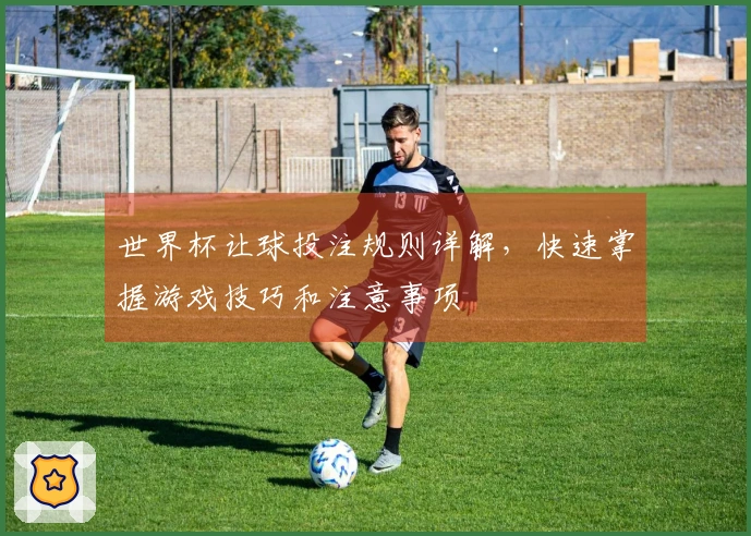 世界杯让球投注规则详解，快速掌握游戏技巧和注意事项