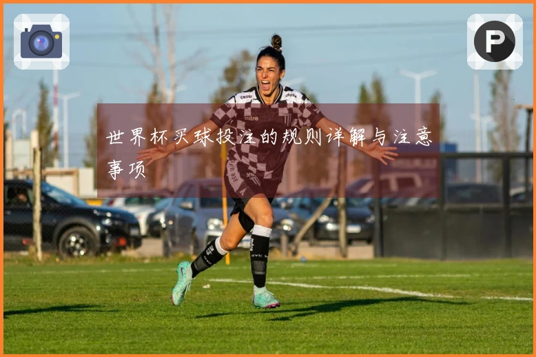 世界杯买球投注的规则详解与注意事项