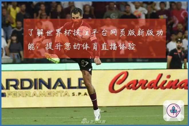 了解世界杯投注平台网页版新版功能，提升您的体育直播体验