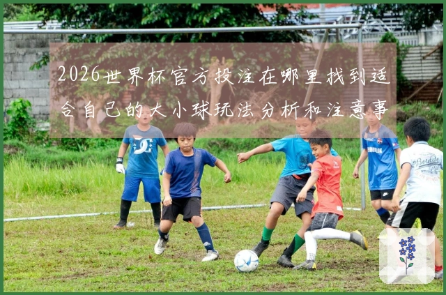 2026世界杯官方投注在哪里找到适合自己的大小球玩法分析和注意事项