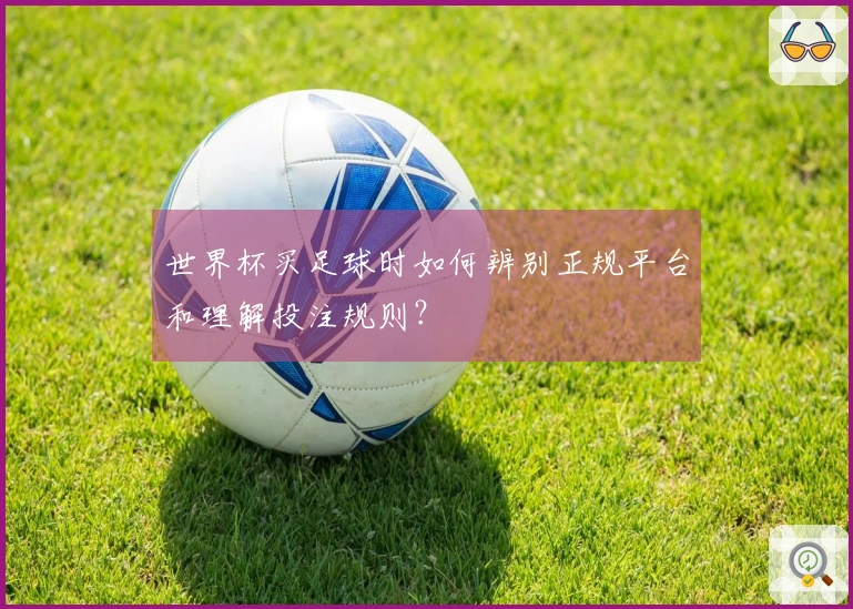 世界杯买足球时如何辨别正规平台和理解投注规则？