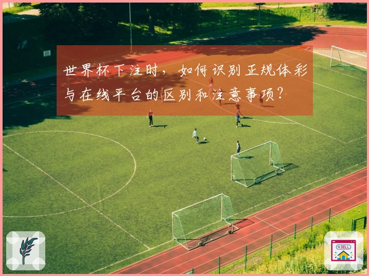 世界杯下注时，如何识别正规体彩与在线平台的区别和注意事项？