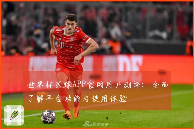世界杯买球APP官网用户测评：全面了解平台功能与使用体验
