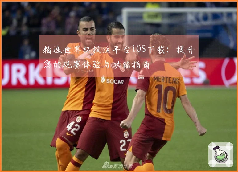 精选世界杯投注平台iOS下载：提升您的观赛体验与功能指南
