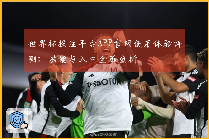 世界杯投注平台APP官网使用体验评测：功能与入口全面分析