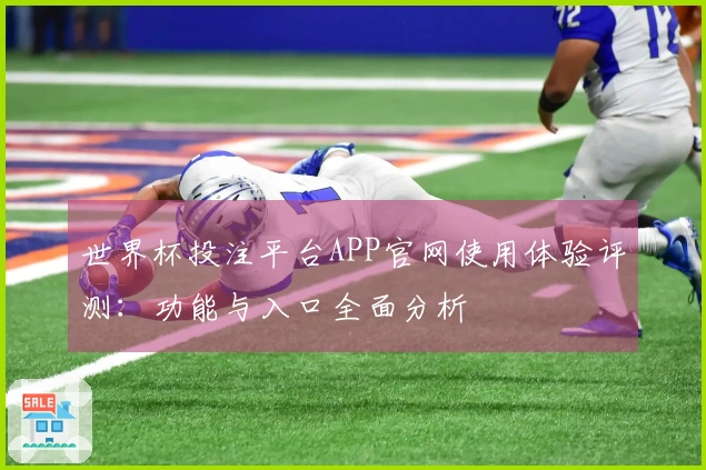 世界杯投注平台APP官网使用体验评测：功能与入口全面分析