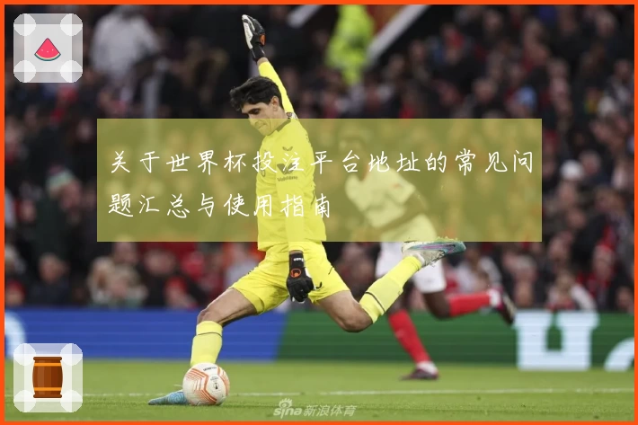 关于世界杯投注平台地址的常见问题汇总与使用指南