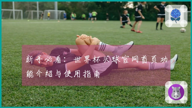 新手必看：世界杯买球官网首页功能介绍与使用指南