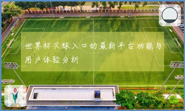 世界杯买球入口的最新平台功能与用户体验分析